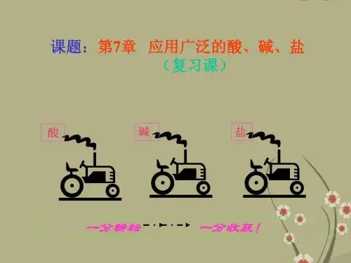 九年级化学 酸碱盐-沪教版 ppt