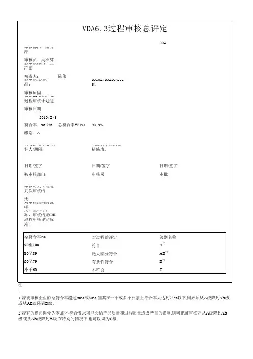 过程审核模板及案例