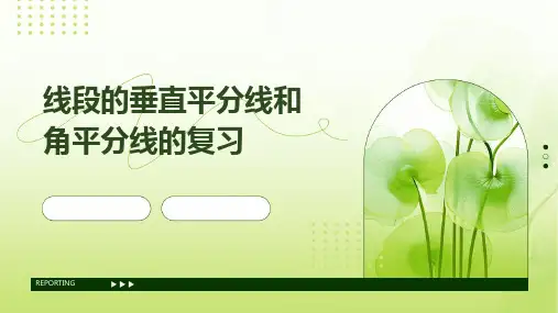 线段的垂直平分线和角平分线的复习