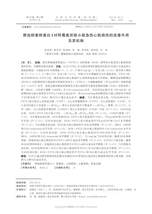219415334_卵泡抑素样蛋白1_对阿霉素所致小鼠急性心肌损伤的改善作用及其机制