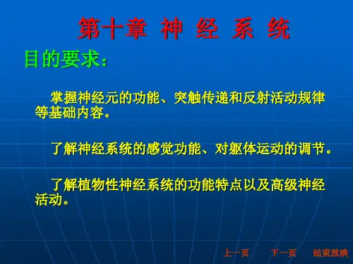 动物生理学第十章神经系统知识讲解