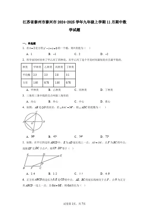 江苏省泰州市泰兴市2024-2025学年九年级上学期11月期中数学试题