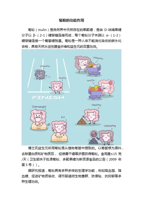菊粉的功能作用