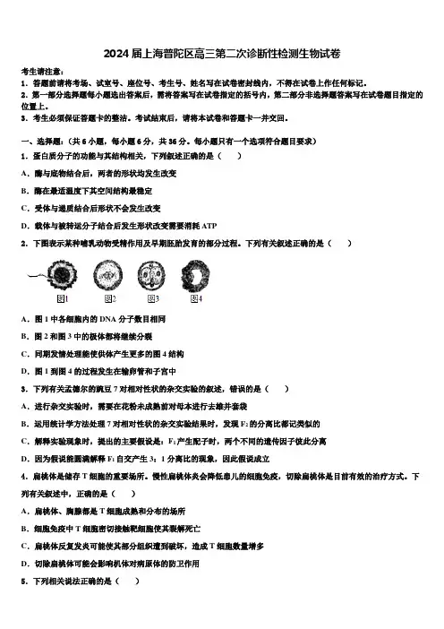 2024届上海普陀区高三第二次诊断性检测生物试卷含解析