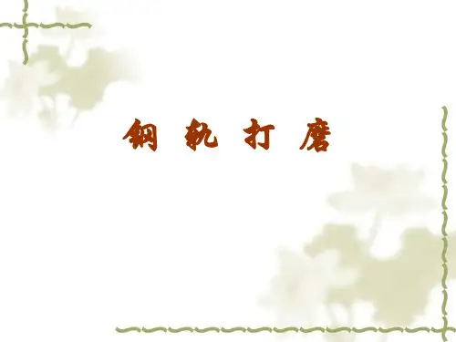 钢轨打磨基础知识(总).