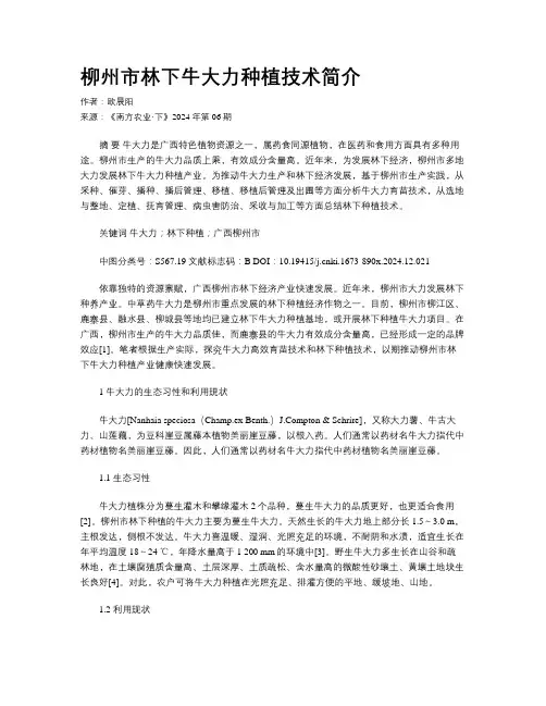 柳州市林下牛大力种植技术简介