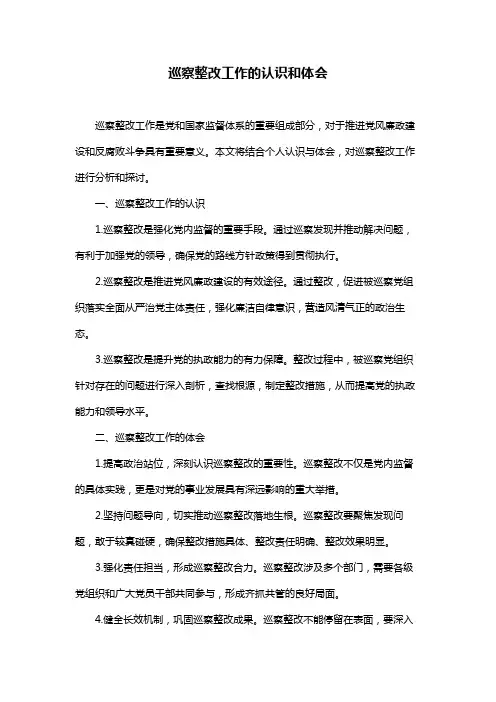 巡察整改工作的认识和体会