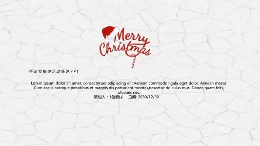 新年圣诞节介绍PPT模板平安夜狂欢夜节日快乐活动策划计划报告wps (33)