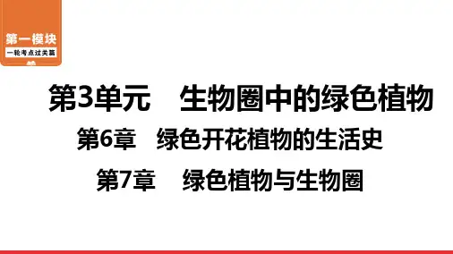 广东北师大版生物中考一轮复习第6章绿色开花植物的生活史第7章绿色植物与生物圈课件