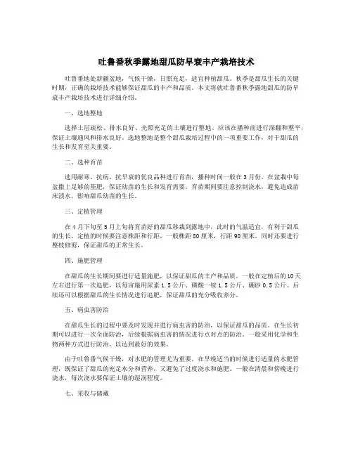 吐鲁番秋季露地甜瓜防早衰丰产栽培技术