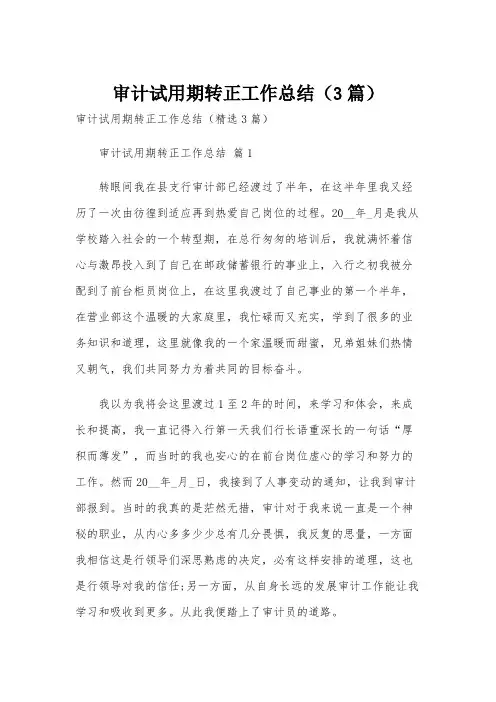 审计试用期转正工作总结(3篇)