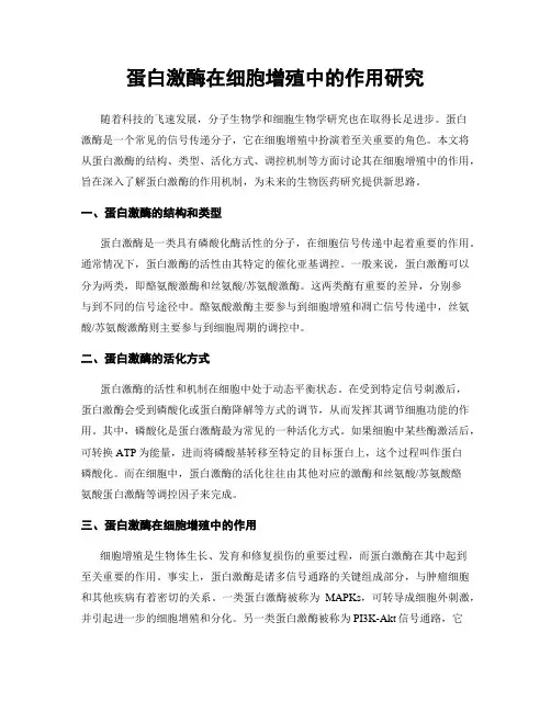 蛋白激酶在细胞增殖中的作用研究