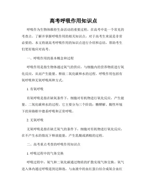高考呼吸作用知识点