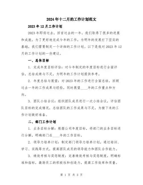 2024年十二月的工作计划范文