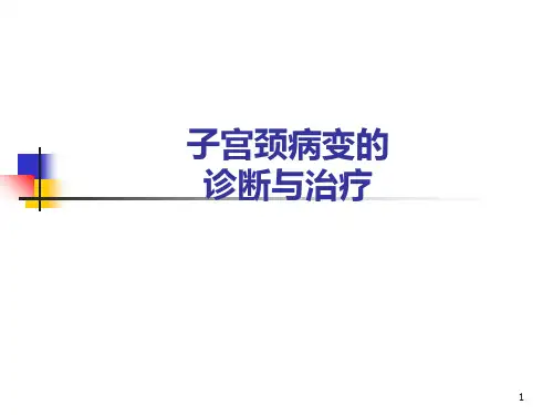子宫颈病变的诊断与治疗PPT课件