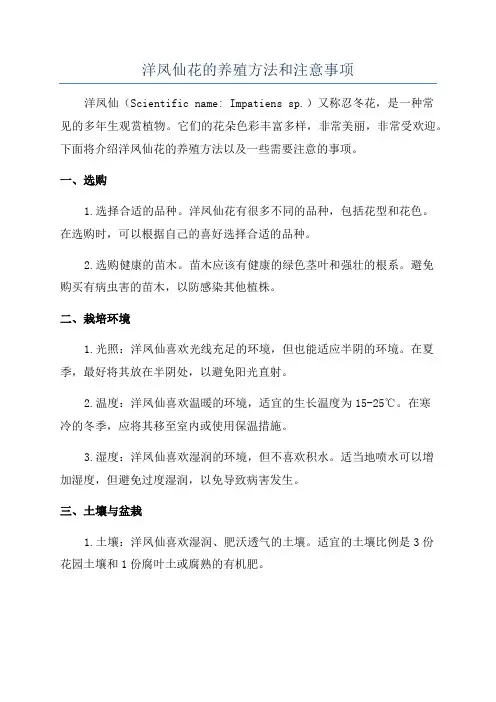 洋凤仙花的养殖方法和注意事项