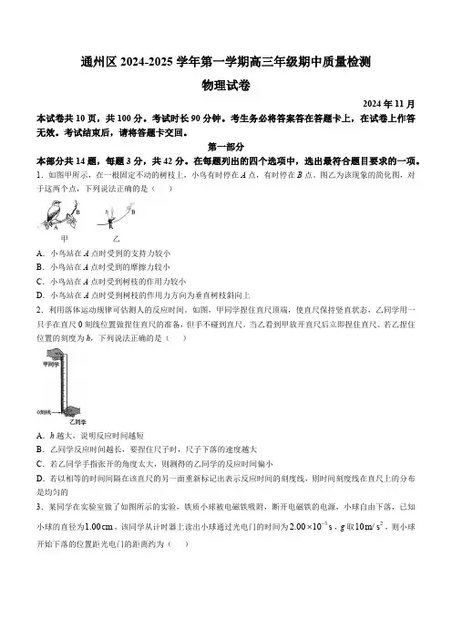 北京市通州区2024-2025学年高三上学期期中物理试卷(含答案)