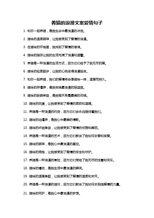 养猫的浪漫文案爱情句子
