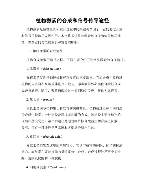 植物激素的合成和信号传导途径