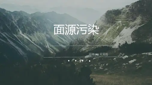 面源污染