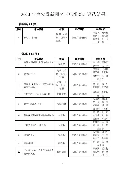 2013年度安徽新闻奖(电视类)评选结果