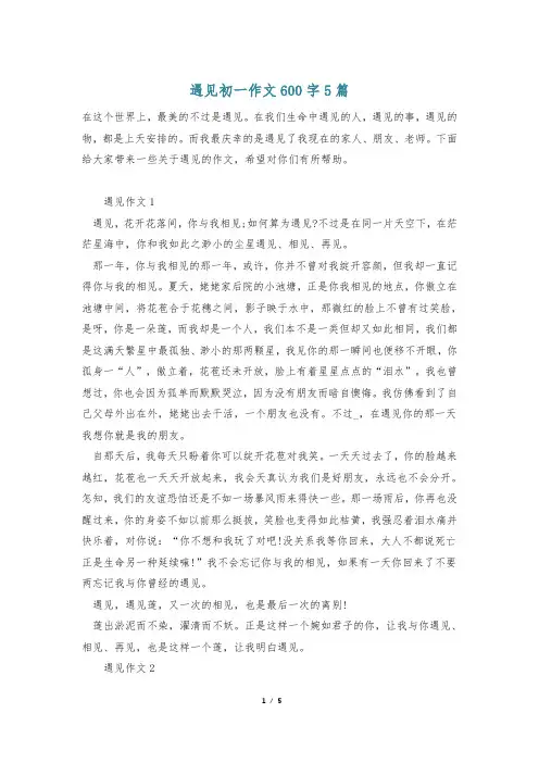 遇见初一作文600字5篇