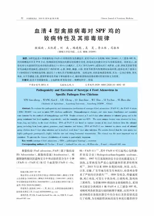 血清4型禽腺病毒对SPF鸡的致病特性及其排毒规律