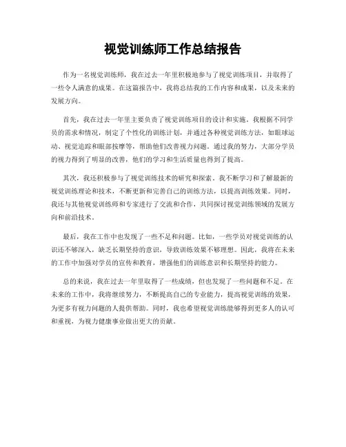 视觉训练师工作总结报告