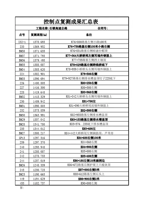 水准汇总一览表