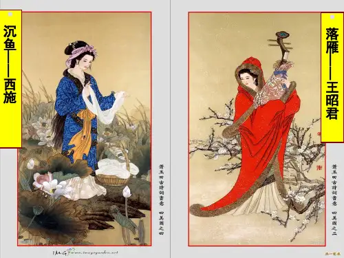咏怀古迹其三公开课课件