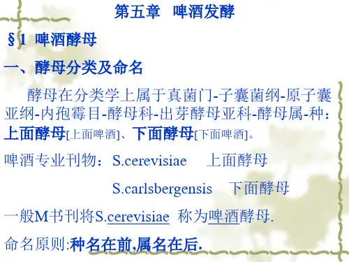 第5章   啤酒发酵