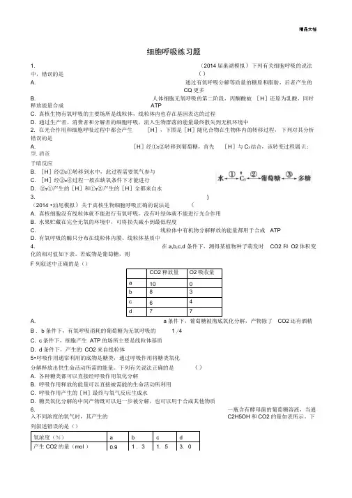 高三一轮复习--细胞呼吸习题及答案