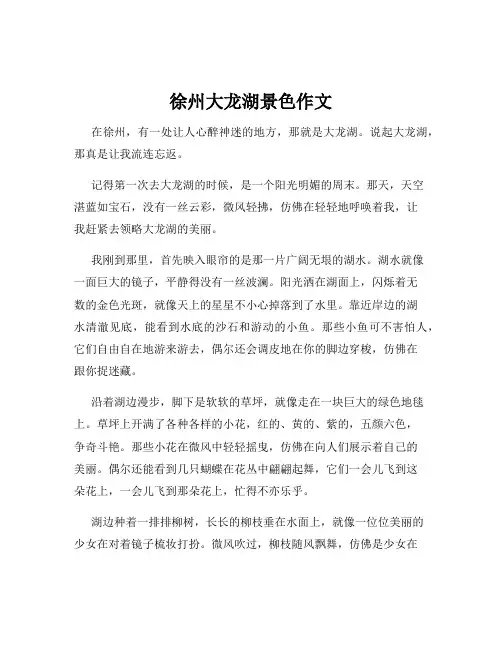 徐州大龙湖景色作文