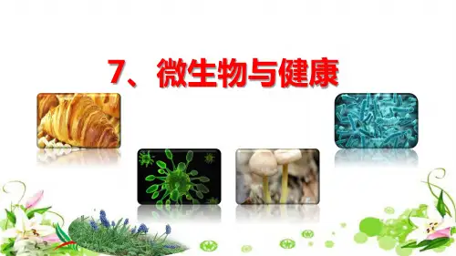 六上科学《微生物与健康》教学课件.ppt