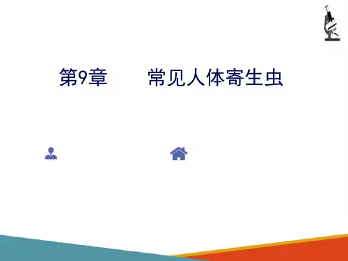 常见人体寄生虫 医学原虫