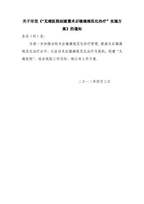 镇痛实施方案