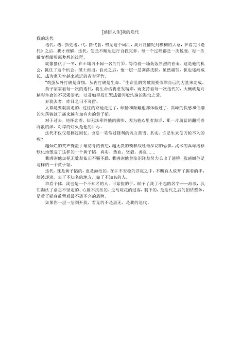 [感悟人生]我的迭代