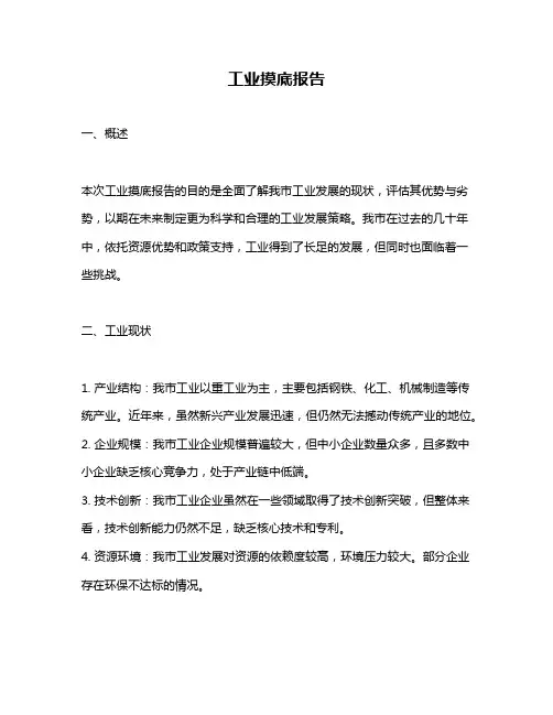 工业摸底报告