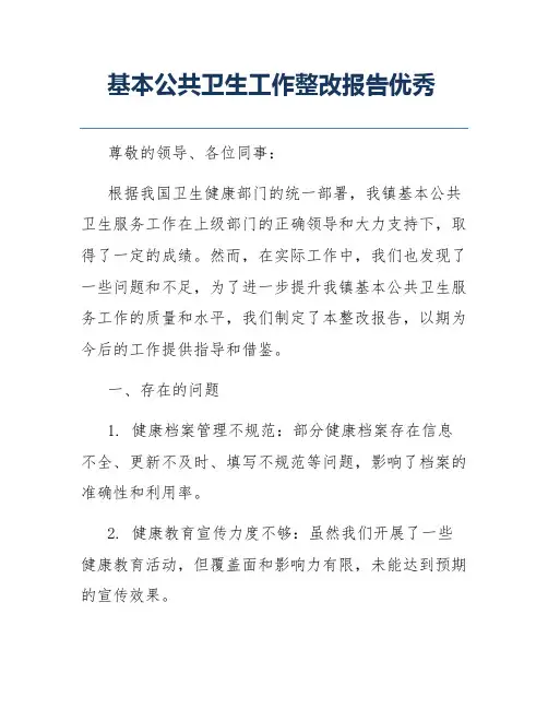 基本公共卫生工作整改报告优秀