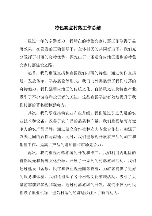 特色亮点村庄工作总结