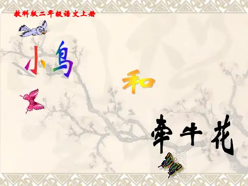 教科版二年级上册《小鸟和牵牛花》课件1