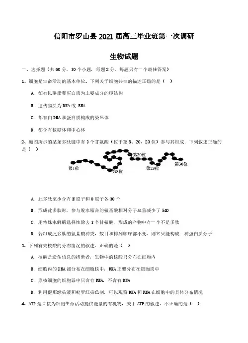 河南省信阳市罗山县2021届高三毕业班第一次调研 生物(含答案)