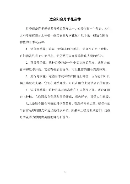 适合阳台月季花品种