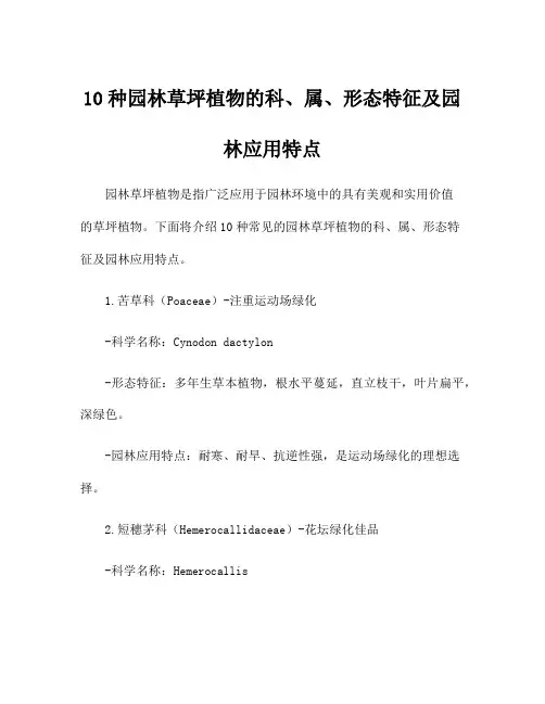 10种园林草坪植物的科、属、形态特征及园林应用特点