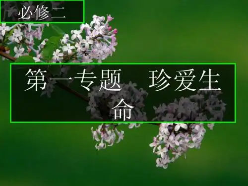 苏教必修二语文课件《珍爱生命》