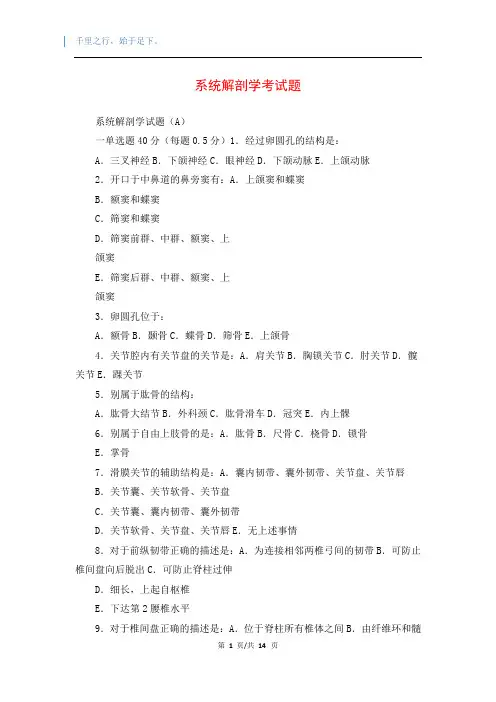系统解剖学考试题