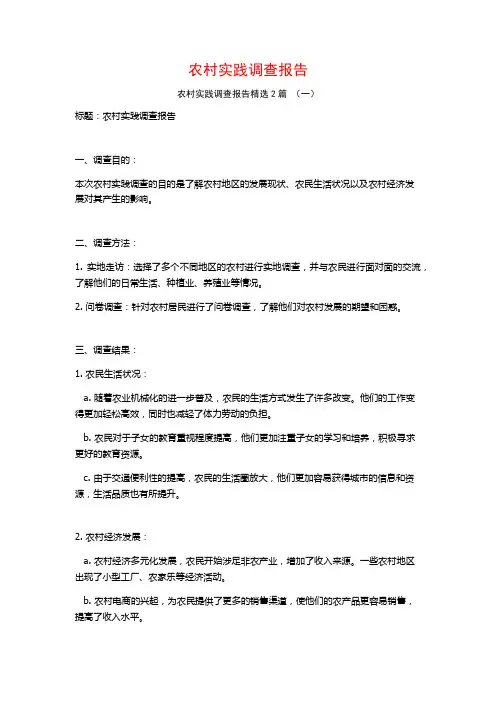 农村实践调查报告2篇