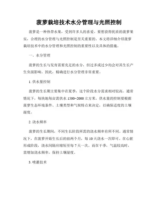 菠萝栽培技术水分管理与光照控制