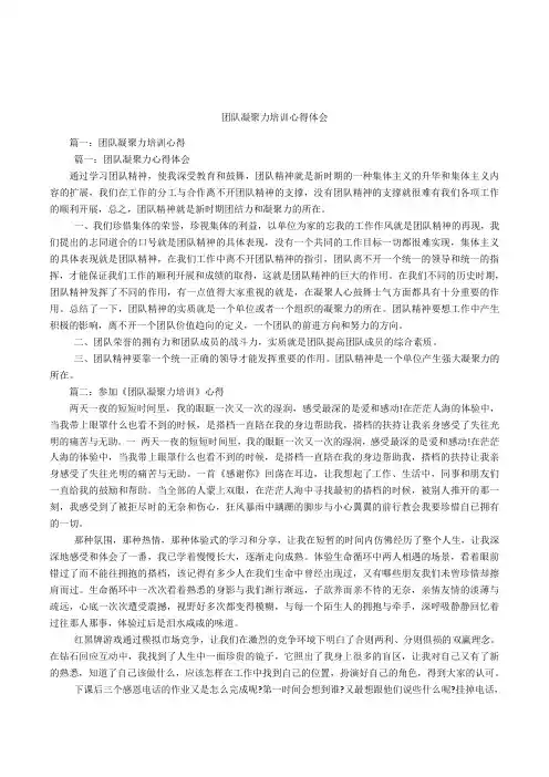 团队凝聚力培训心得体会