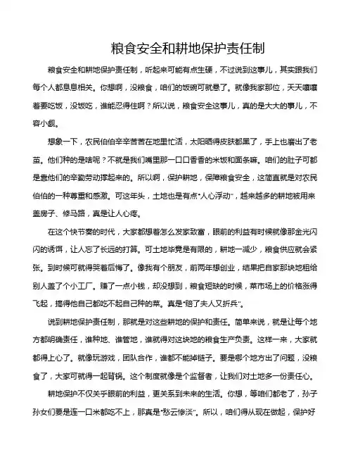 粮食安全和耕地保护责任制